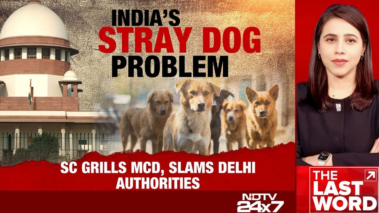 Delhi-NCR News | Supreme Court Slams Delhi Civic Agency, City Authorities