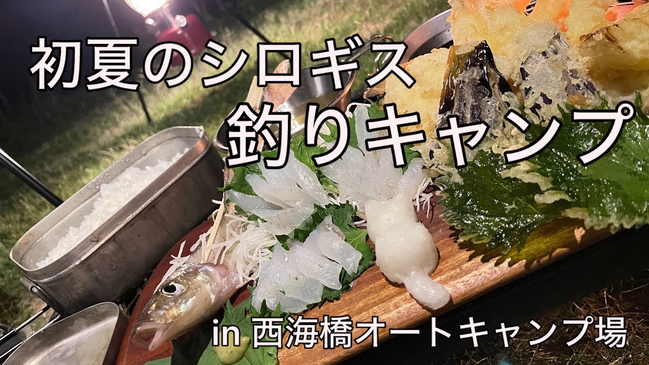 【釣りキャンプ】初夏のシロギス釣りキャンプ　in西海橋オートキャンプ場