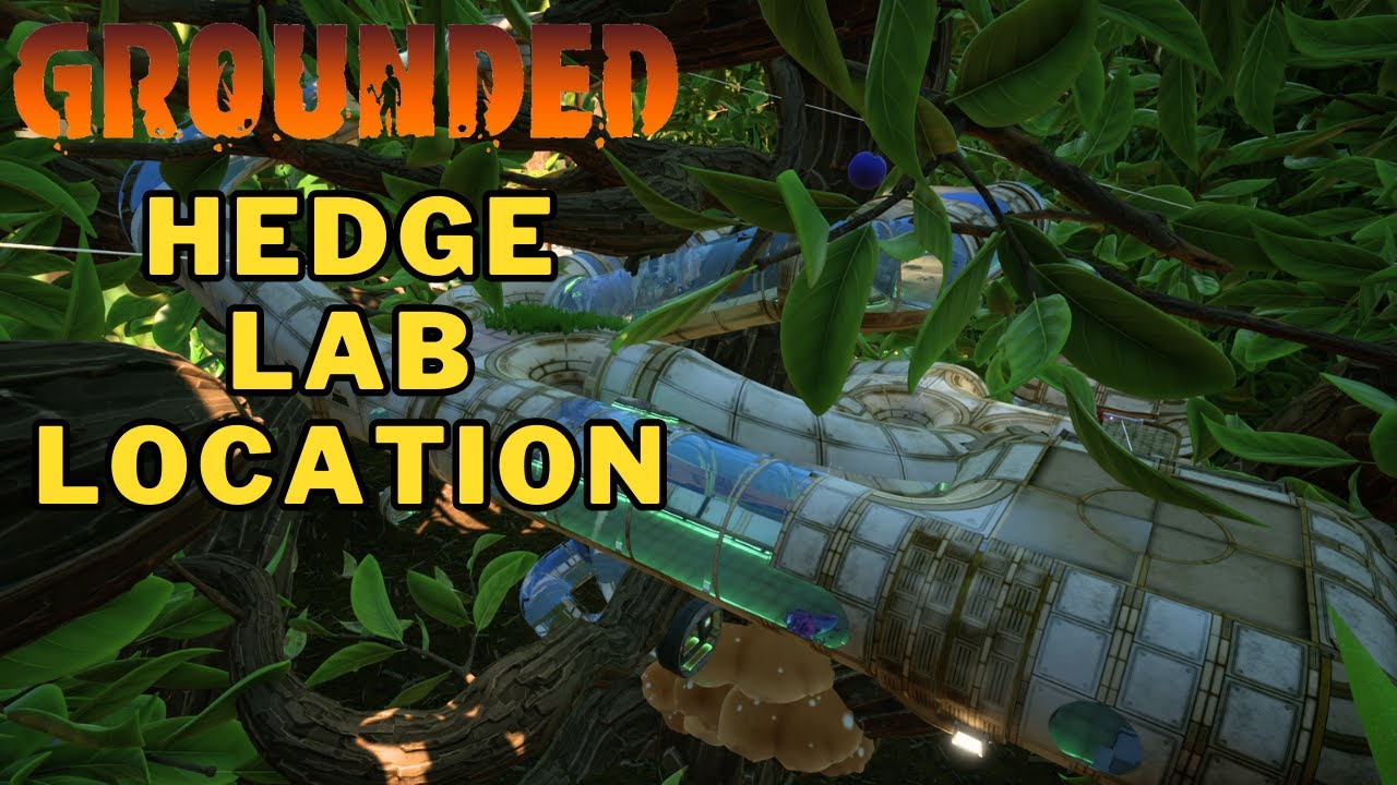 How To Get To The Hedge Lab in Grounded | Hedge Lab Location