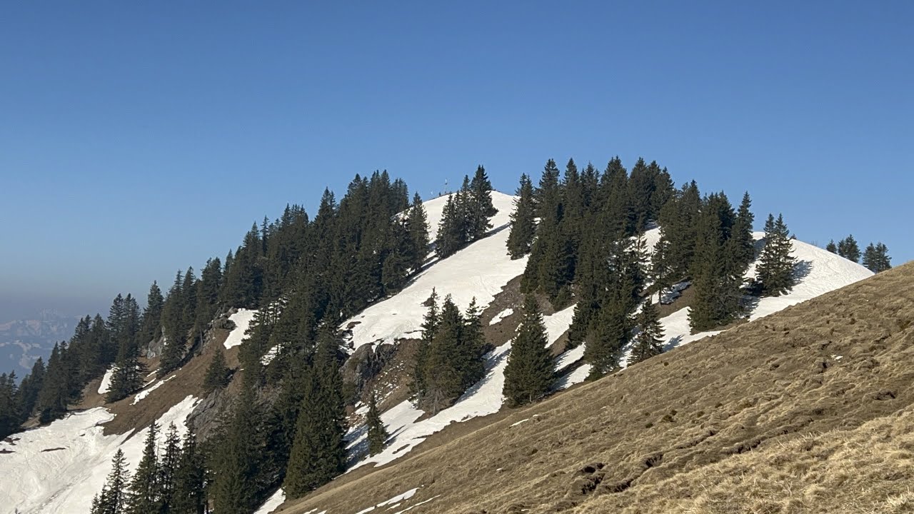 Spieser - Gro&szlig;er Hirschberg (19. M&auml;rz 2022)