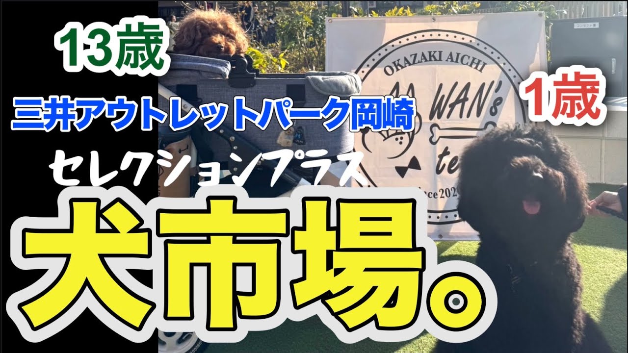 【三井アウトレットパーク岡崎】犬市場？大盛況イベントで人気モノw