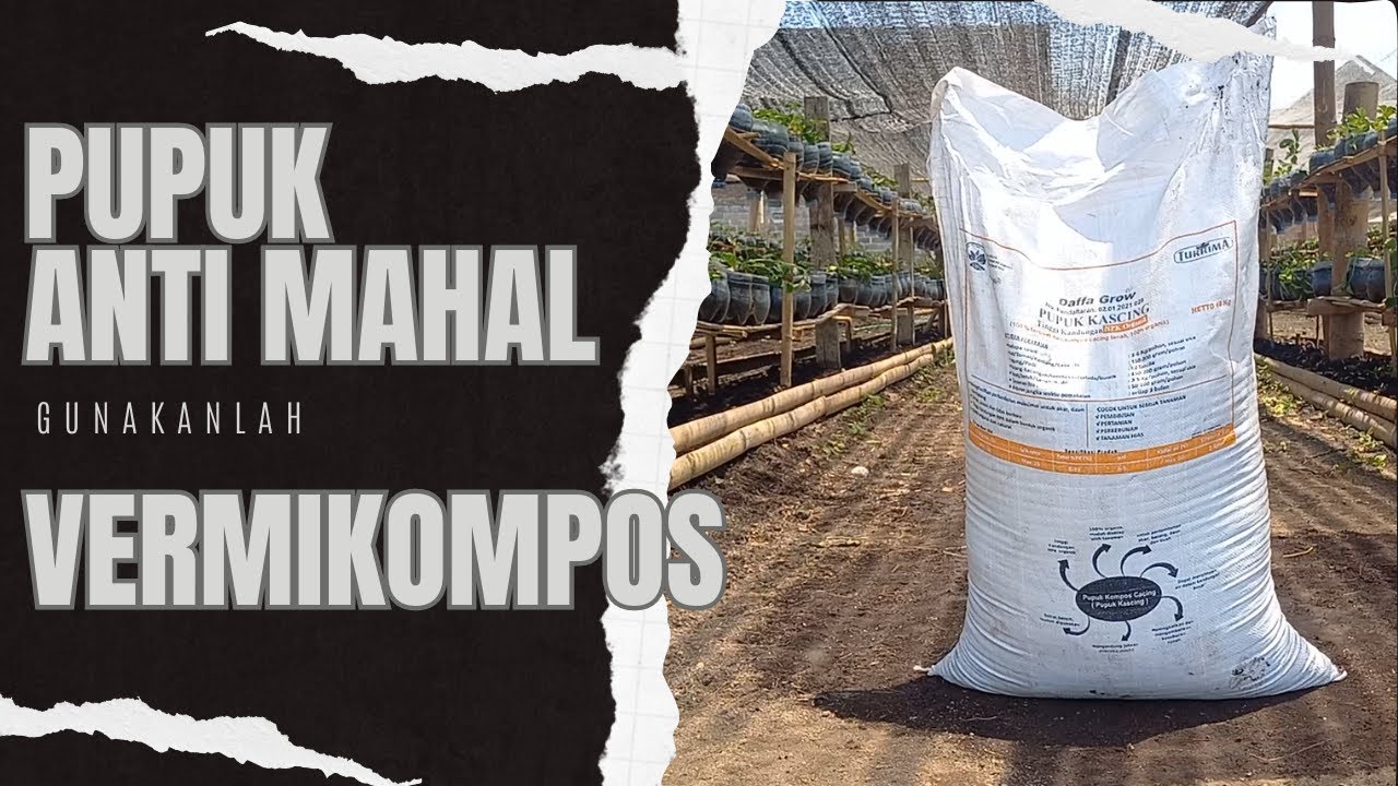 PEMANFAATAN BAHAN ORGANIK UNTUK VERMIKOMPOS MELALUI BUDIDAYA CACING