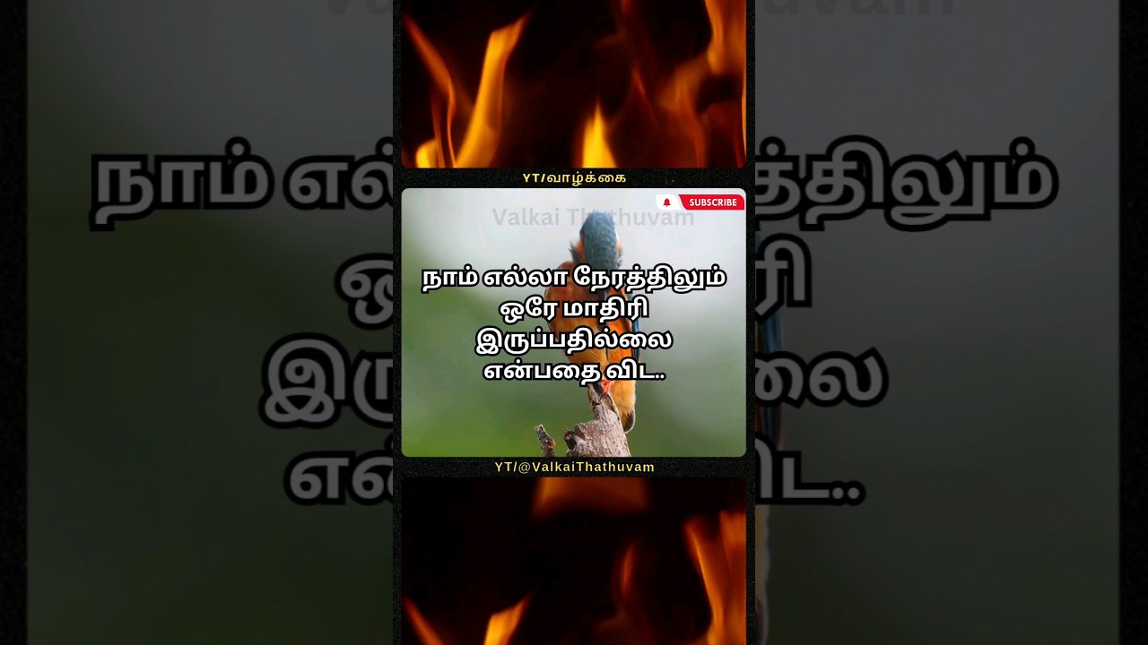 வாழ்க்கை தத்துவம் #72 🔥💯 | Tamil Motivational Quotes | Valkai Thathuvam