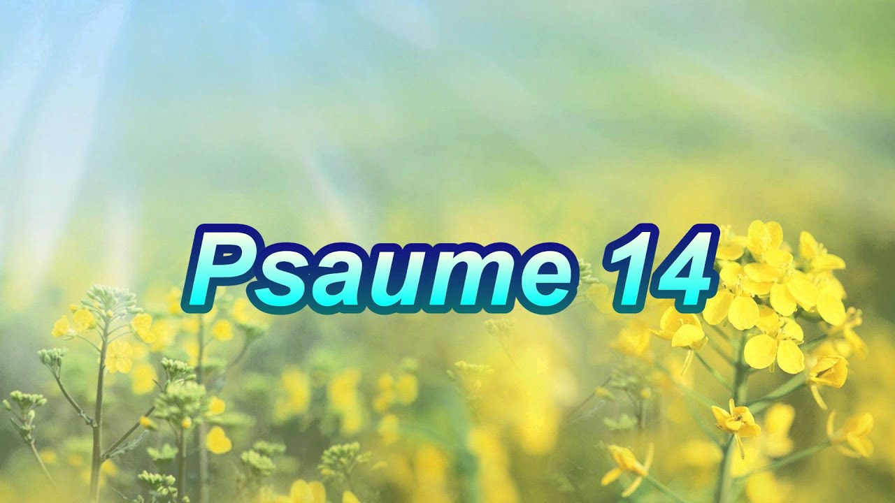 Psaume 14