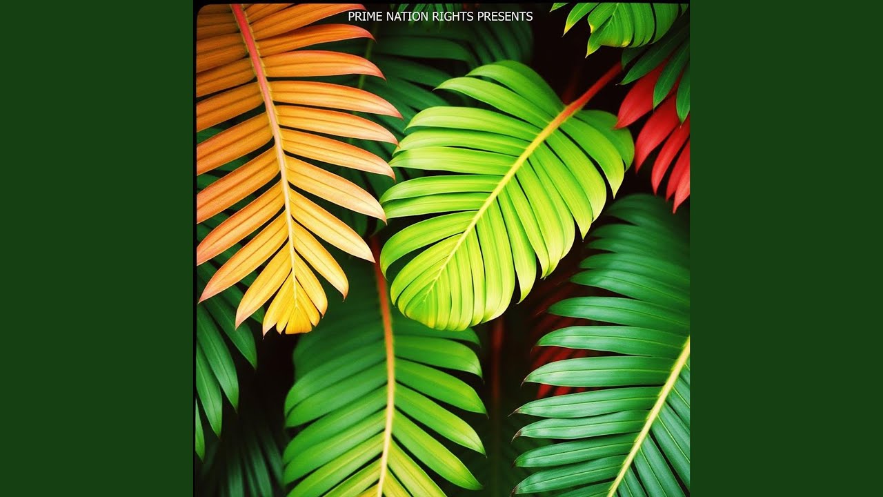 Dancefloor Heat