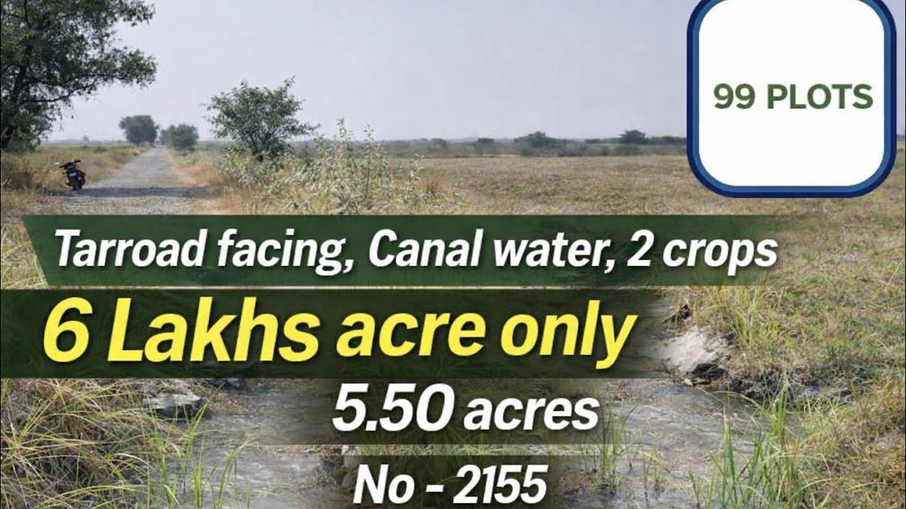 Taarroad facing | 6 lakhs acre only| Canal water| 5.50 acres| No - 2155 | #kurnool 