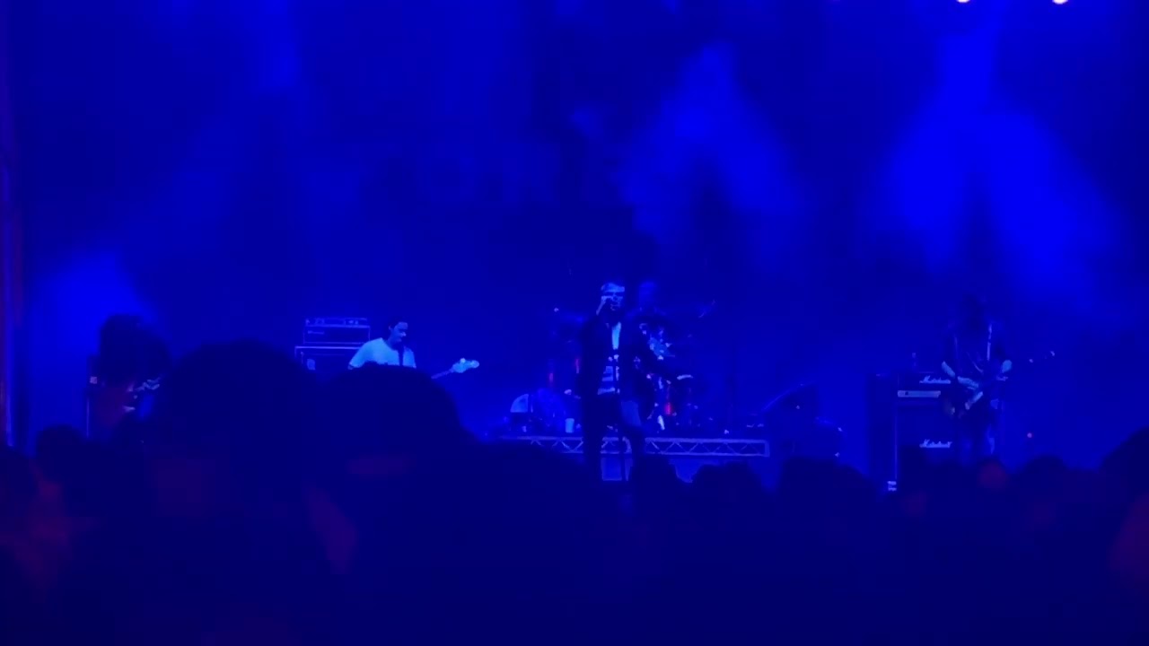 Fiddlehead - USMA @ Best Friends Forever Fest 2024