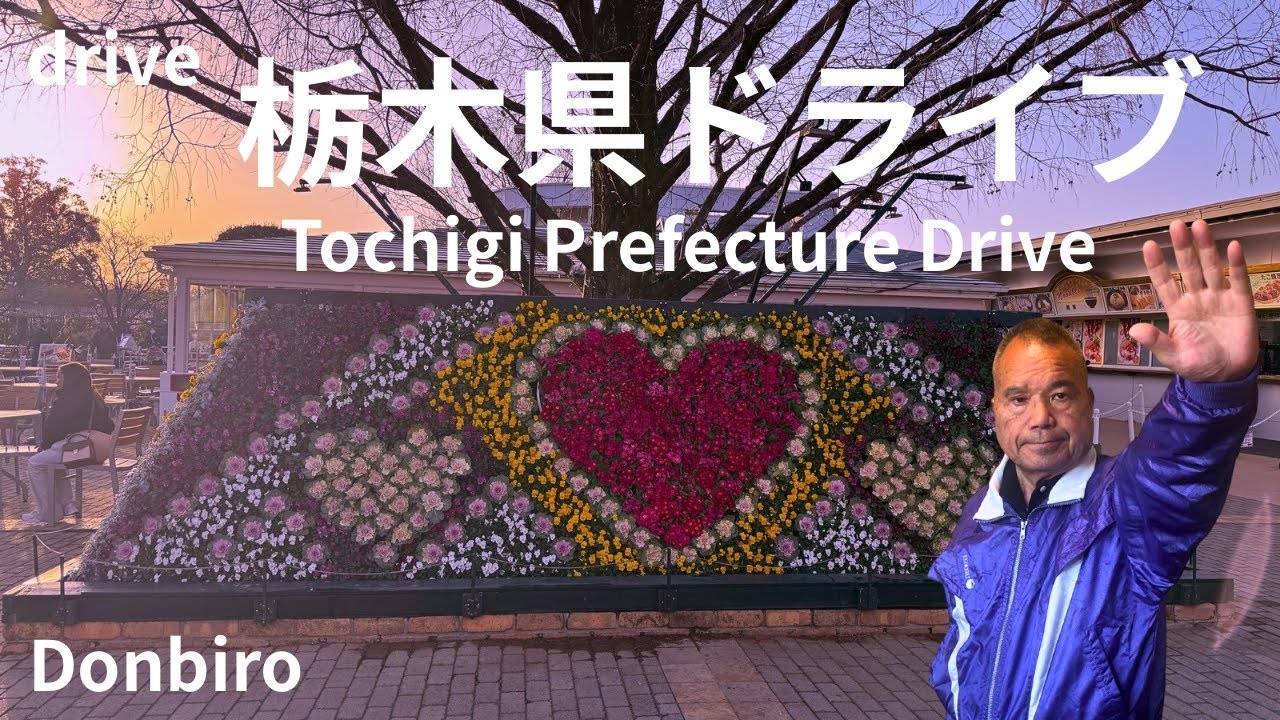 ✨あしかがフラワーパーク✨イルミネーション✨昼間から夜間まで✨Ashikaga Flower Park✨Illuminations✨From day to night✨