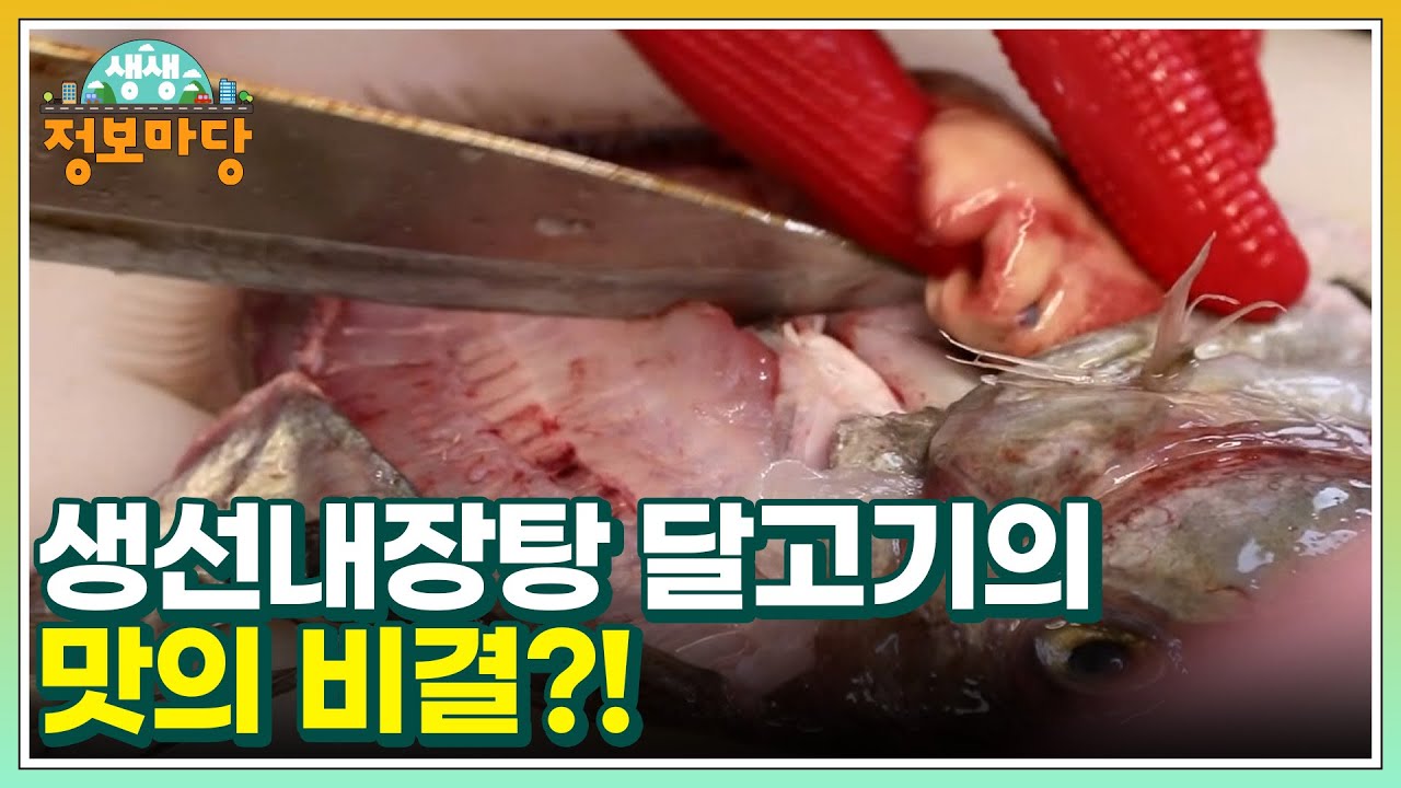 이 맛에 살지! 생선내장탕 달고기의 맛의 비결?! MBN 221117 방송