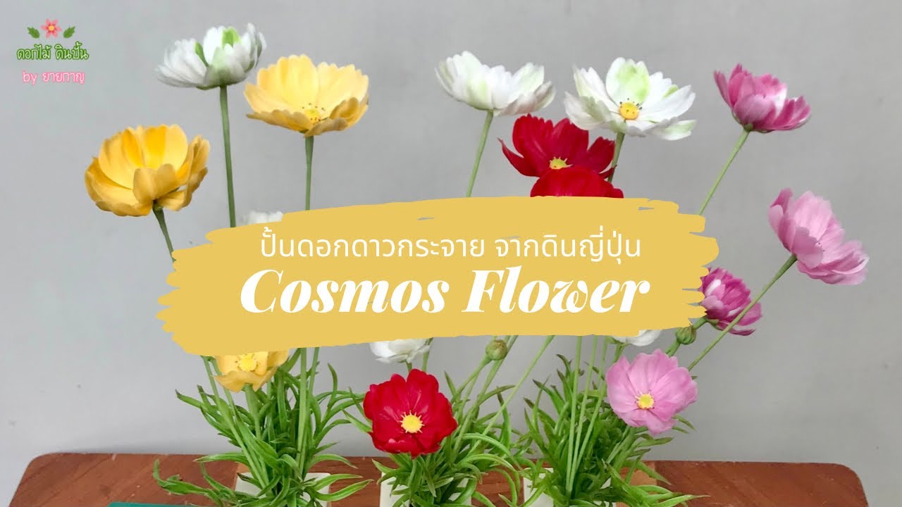 ปั้นดอกคอสมอส ดอกดาวกระจาย จากดินญี่ปุ่น Cosmos Flower | Japanese Clay | ยายกาญสารพัดนึก