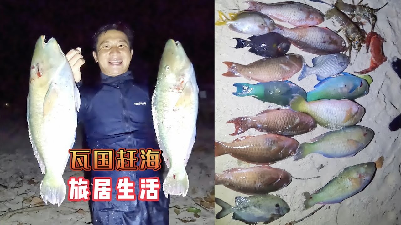 《瓦努阿图》第23集：7级地震过后，海底都是大鱼和大龙虾，又是收获满满的一天！#环球旅行 #瓦努阿图 #潜水 #抓龙虾 #抓螃蟹