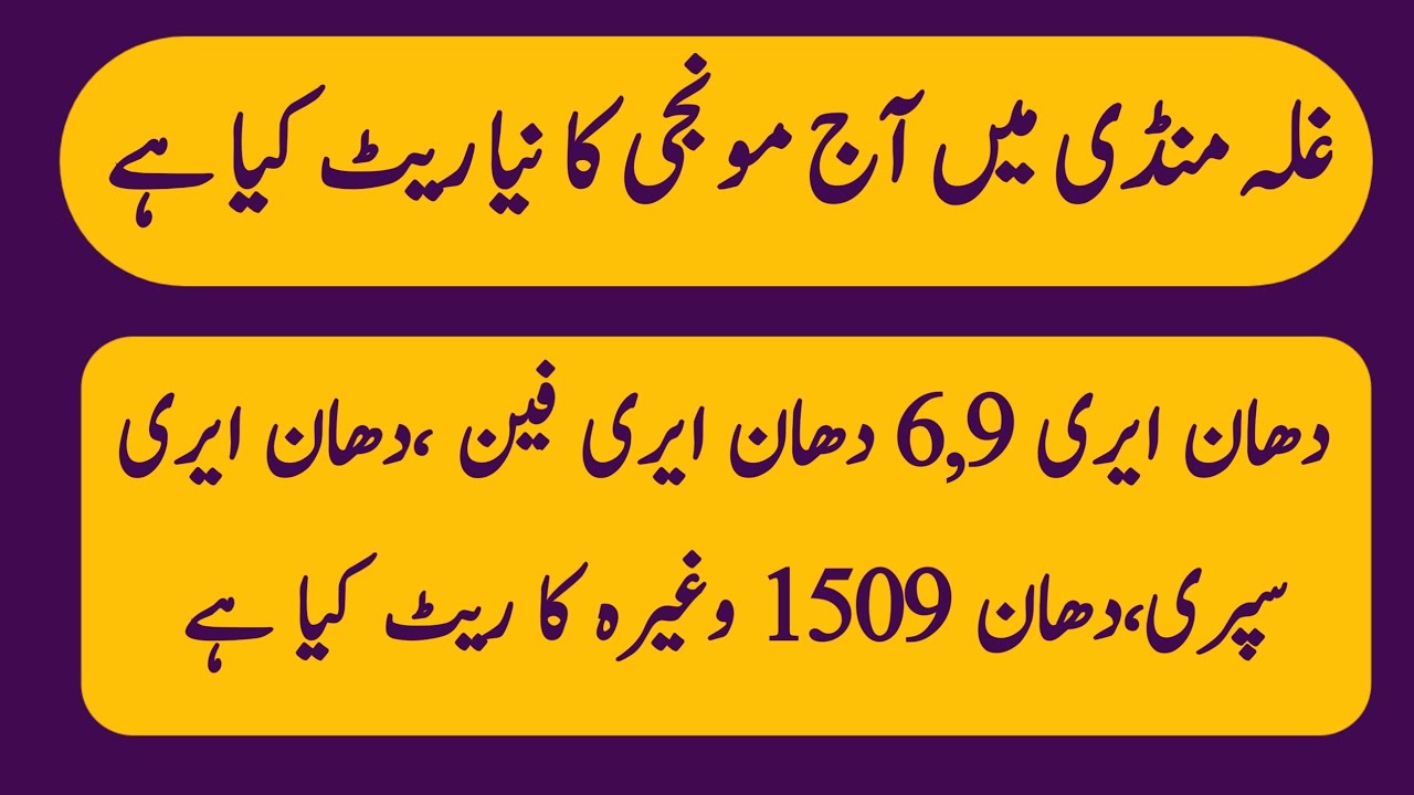 Munji price today Punjab|Rice rate today Pakistan|1509 Paddy price Galla mandi ke rates