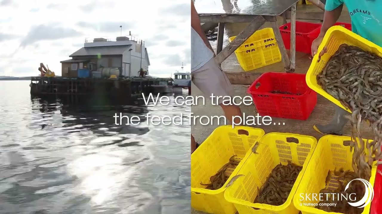 09 Skretting The Feed Iceberg -  Ensuring quality & safety