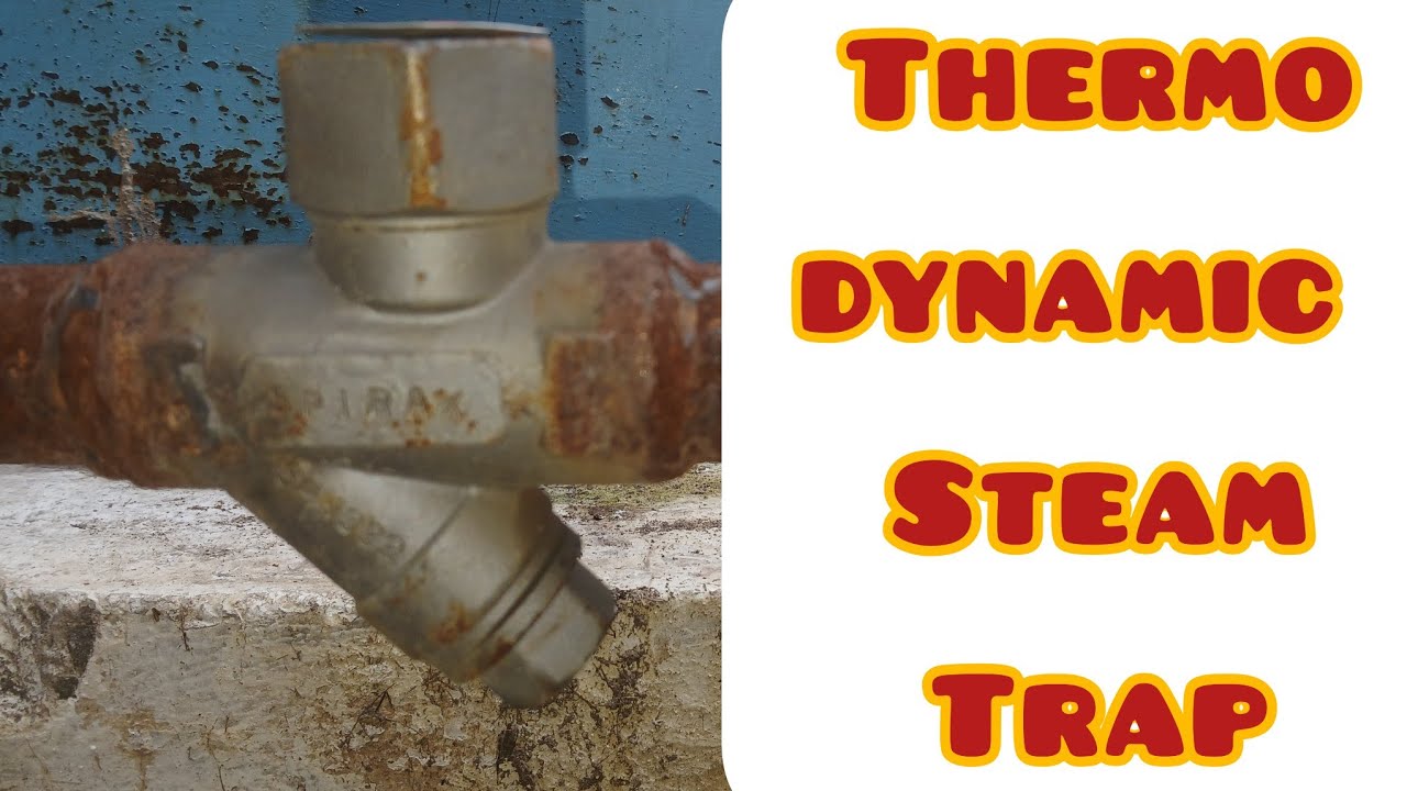 Thermodynamic Steam Trap Set or TD trap set working