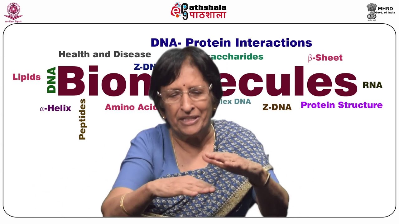 Interactions of small molecules with DNA