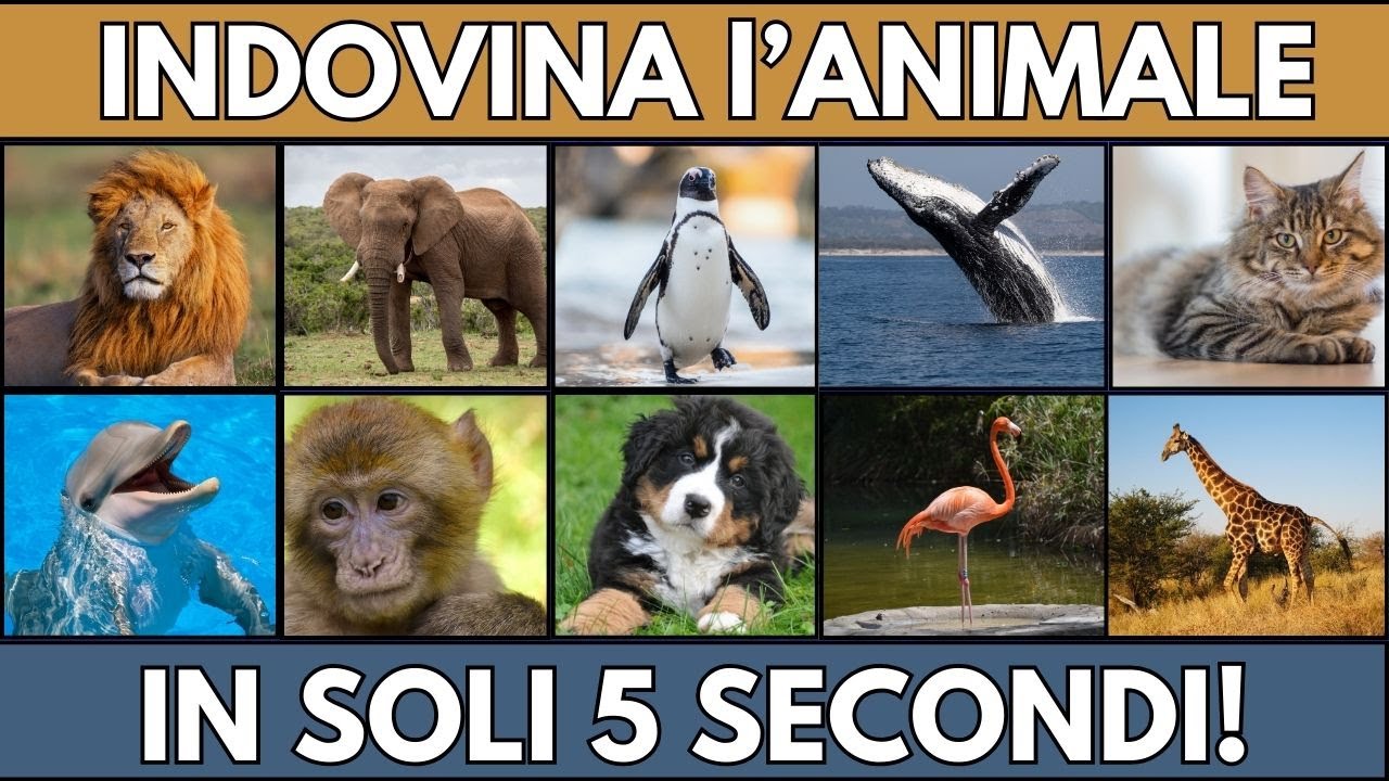 Indovina l'animale in 5 Secondi! | Quiz sugli animali