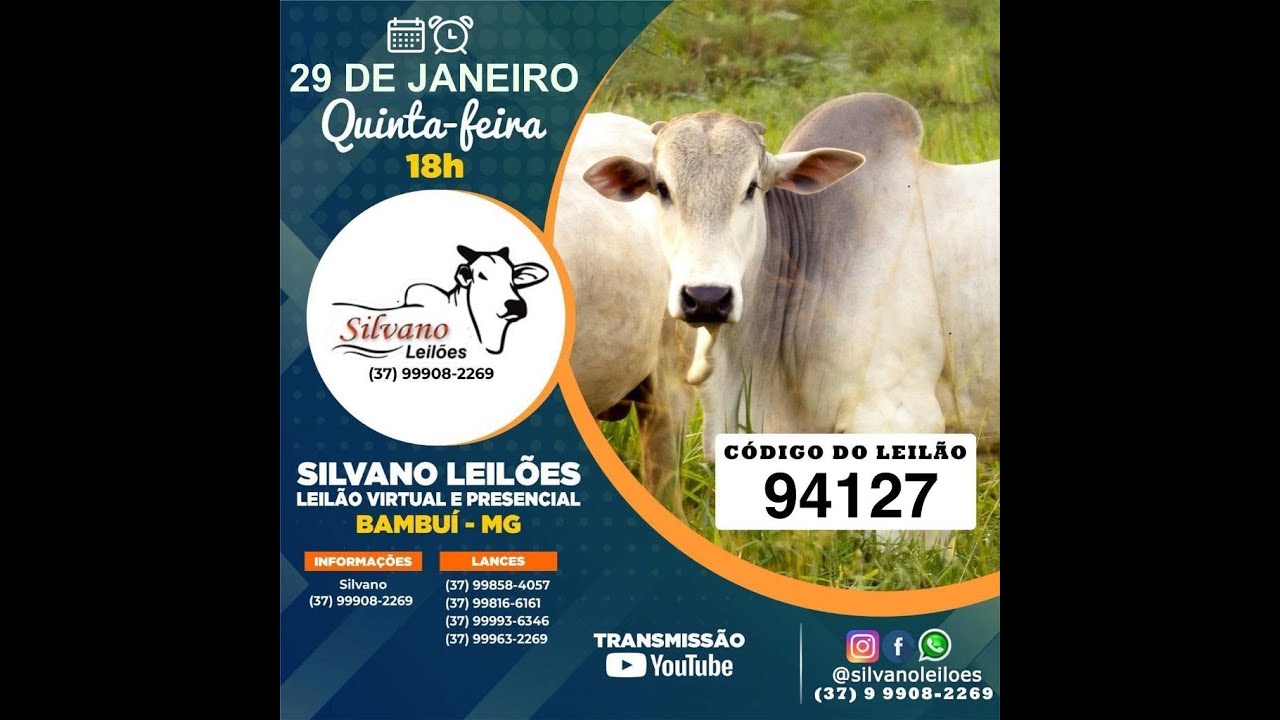 LEILÃO  SILVANO LEILOES - BAMBUI - 29/01/2026