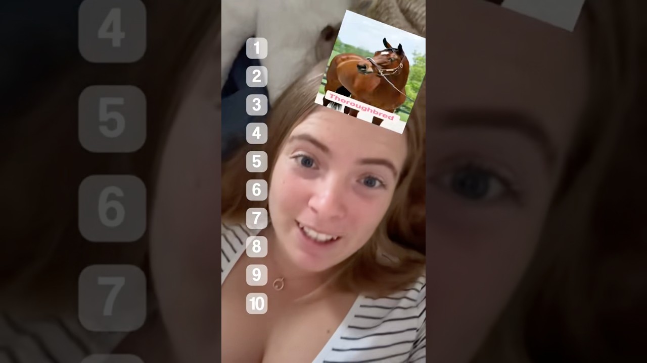 Welchem Pferd w&uuml;rdest du dein Leben anvertrauen? 🤭🐴 #shorts #horse