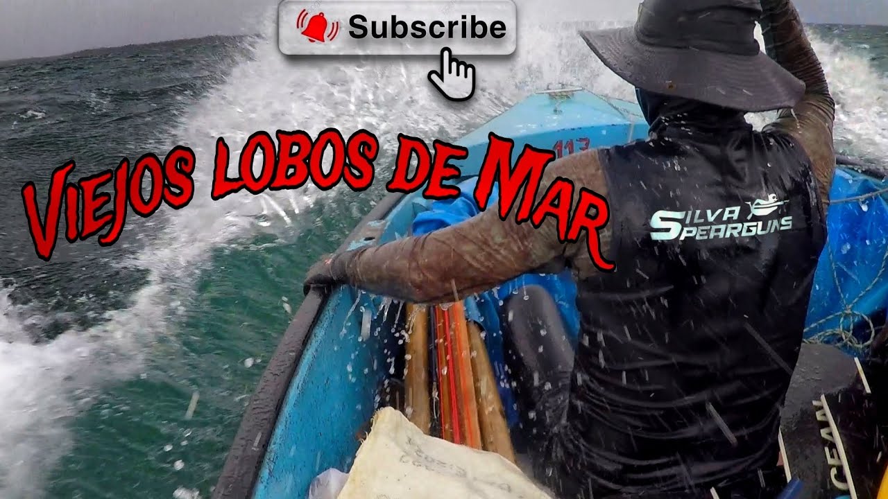 VIEJOS LOBOS DE MAR .. Seguimos aprendiendo de estos guerreros del 🌊 #spearfishing #miami #fishing