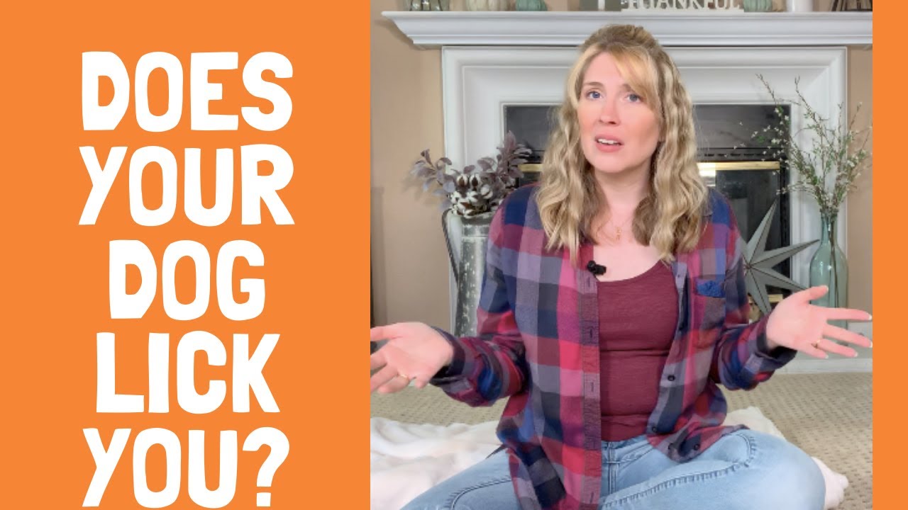 Why Is My 🐶 Dog Licking Me?