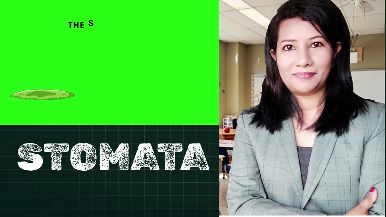 Stomata /The Smart Gatekeepers/ biology