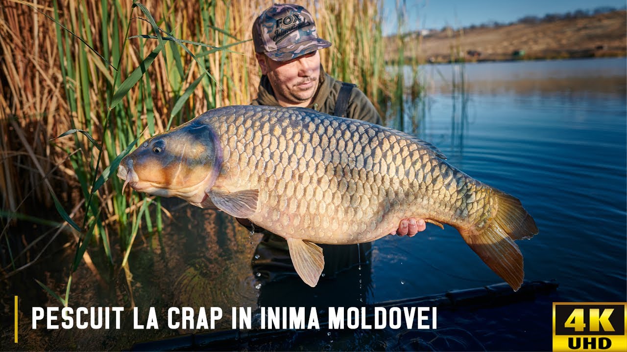 PESCUIT LA CRAP TOAMNA TARZIU IN INIMA MOLDOVEI