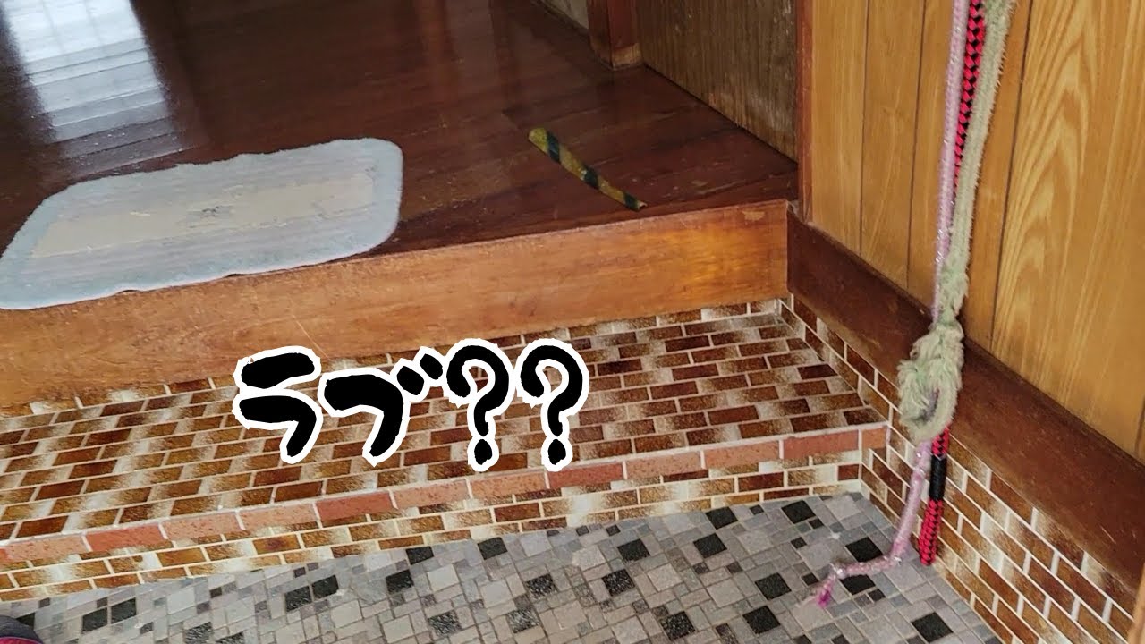 呼んでも出てこない・・・