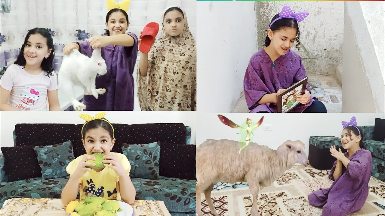 جميع اسكتشات حبيبه الكوميديه(11) يوميات عائله حبيبهHabiba family