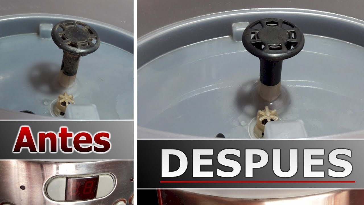 Cómo limpiar Vaporera eléctrica. Mantenimiento de VAPORERA.
