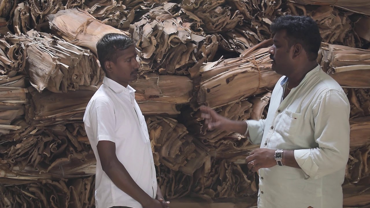 Areca leaf purchasing