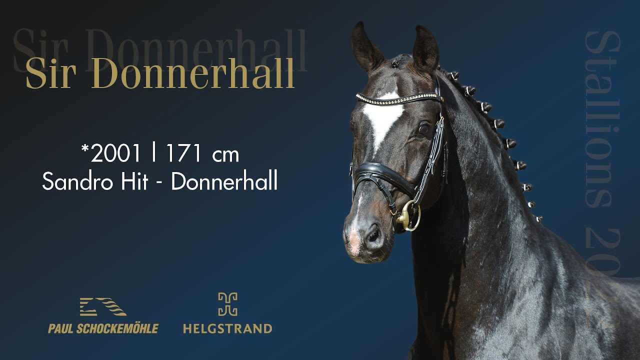 Sir Donnerhall - Dressurkollektion 2022 Schockemöhle & Helgstrand (DEU)