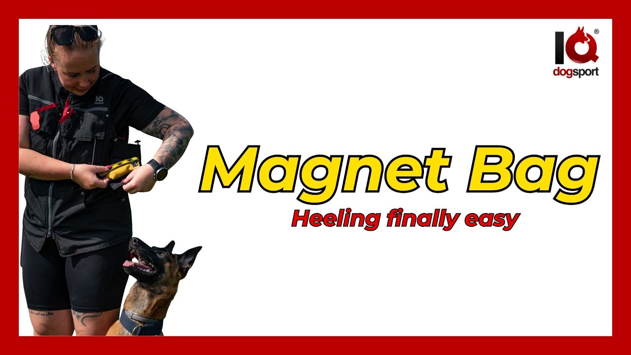 Heeling finally easy - IQ Dogsport Vest 3.0 with Magnet Bag: