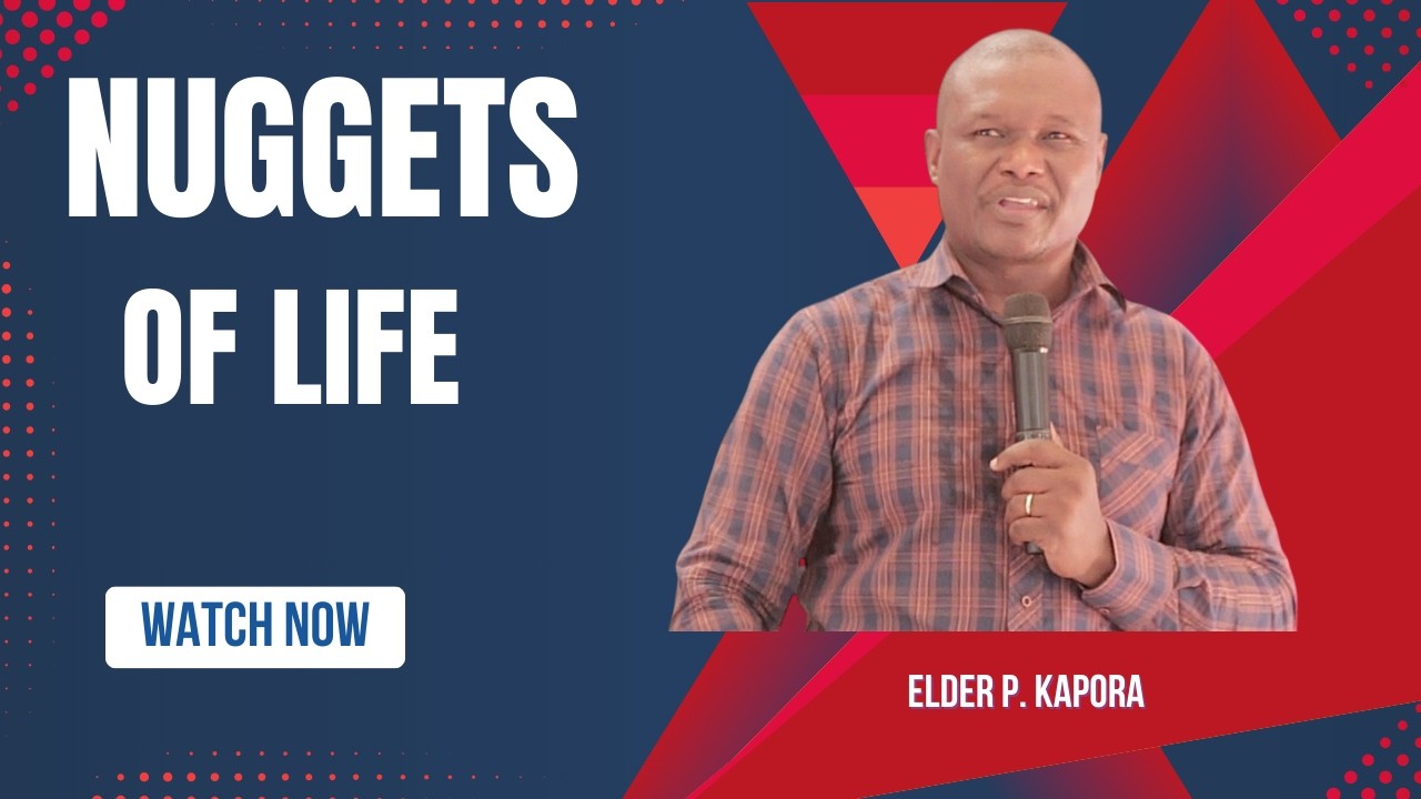Seven Nuggets of Life