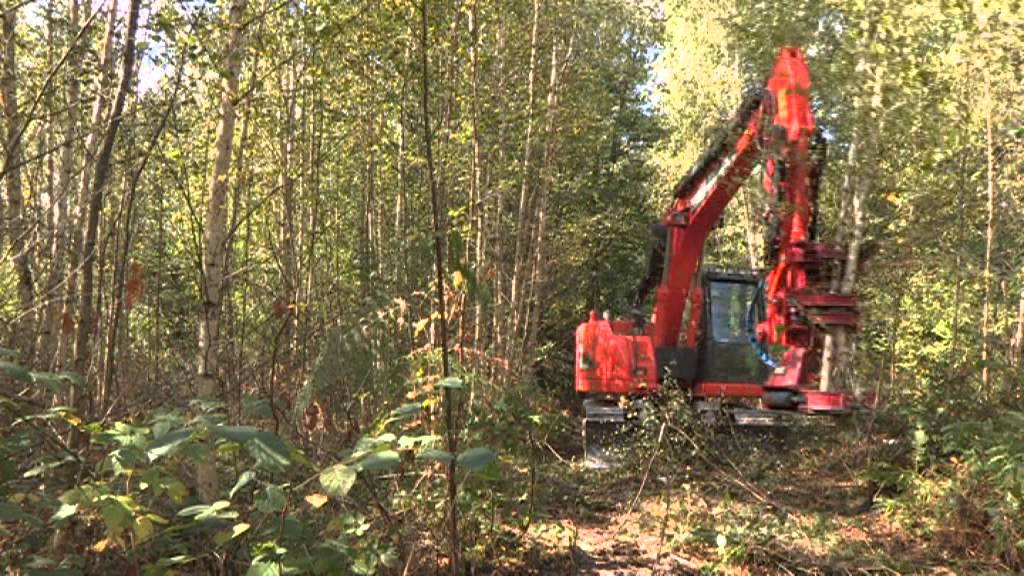 biomasse récolte bois energie