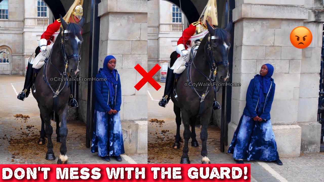 KING’S GUARD LEANS OVER THE TOURIST GET OUT! #horseguards 
