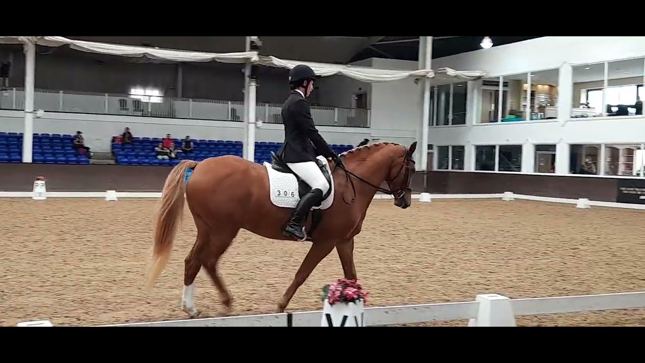 Prelim Dressage to Music Bury Farm. Riding Club Championships. 1st 73.33%