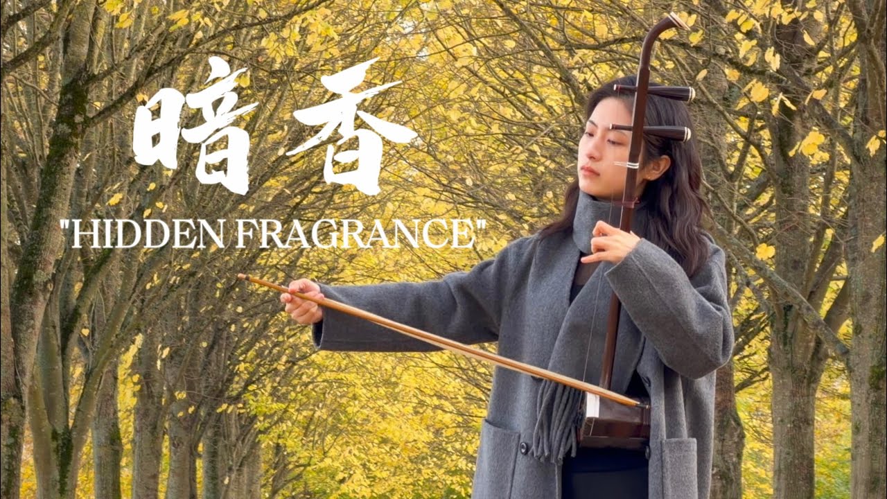 二胡 Erhu｜《暗香》Hidden Fragrance｜Chinese Traditional Instrument Cover｜繁華散盡  愛恨成詩｜法國第一王昭君 Fangyi_WANG