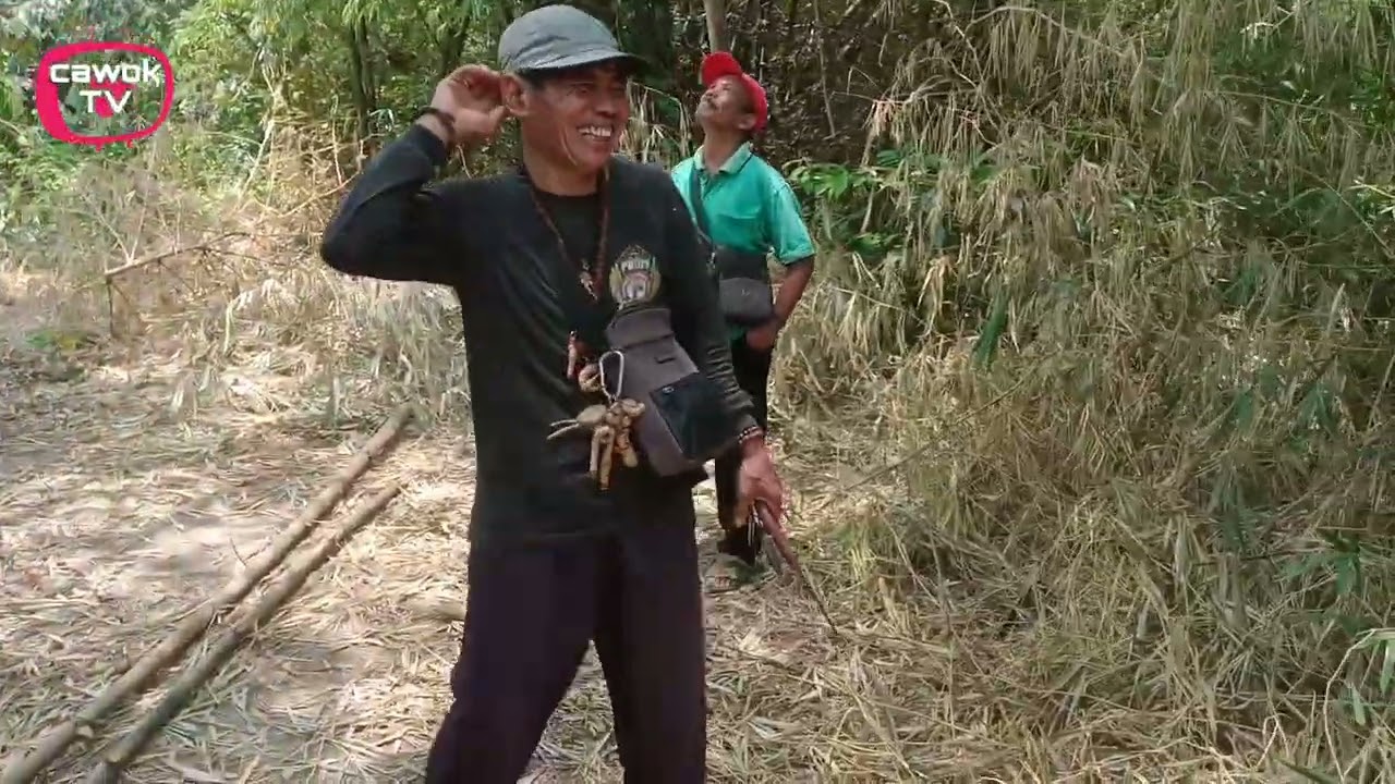 Bambu unik kurung lamjalala selera pembolang bambu unik#cawok tv