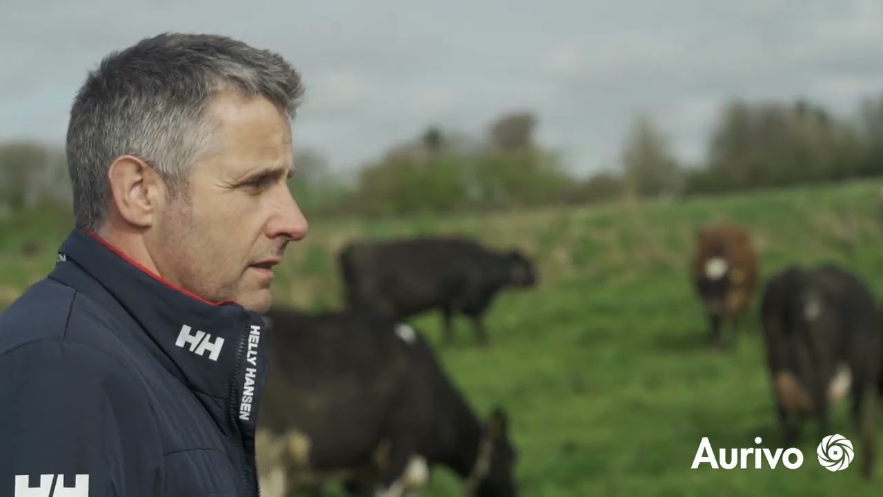 Aurivo Milk Quality Awards 2024 Winner Trench Dairy Ltd