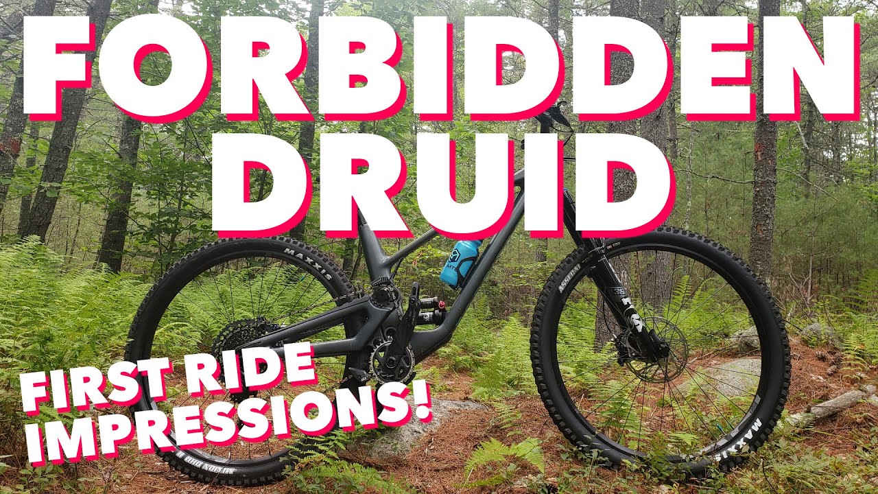Forbidden Druid First Impressions // Is 
