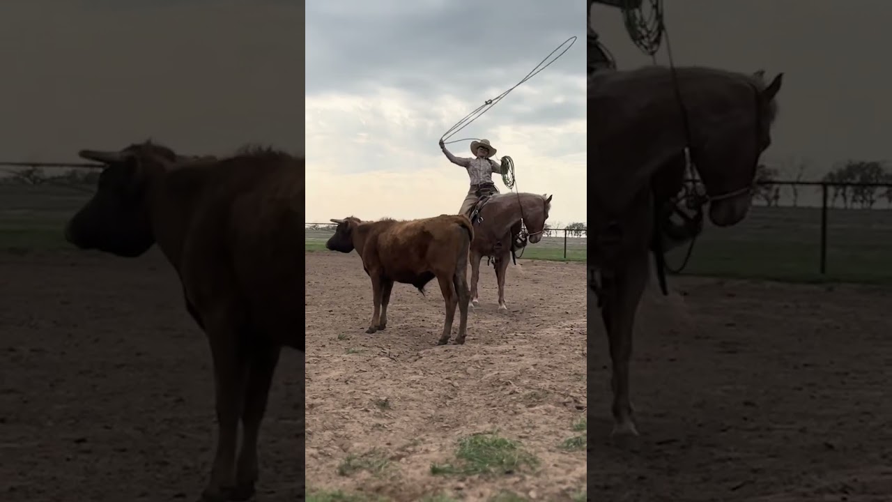 Practice. Practice. Practice. #ranchlife #ranchroping