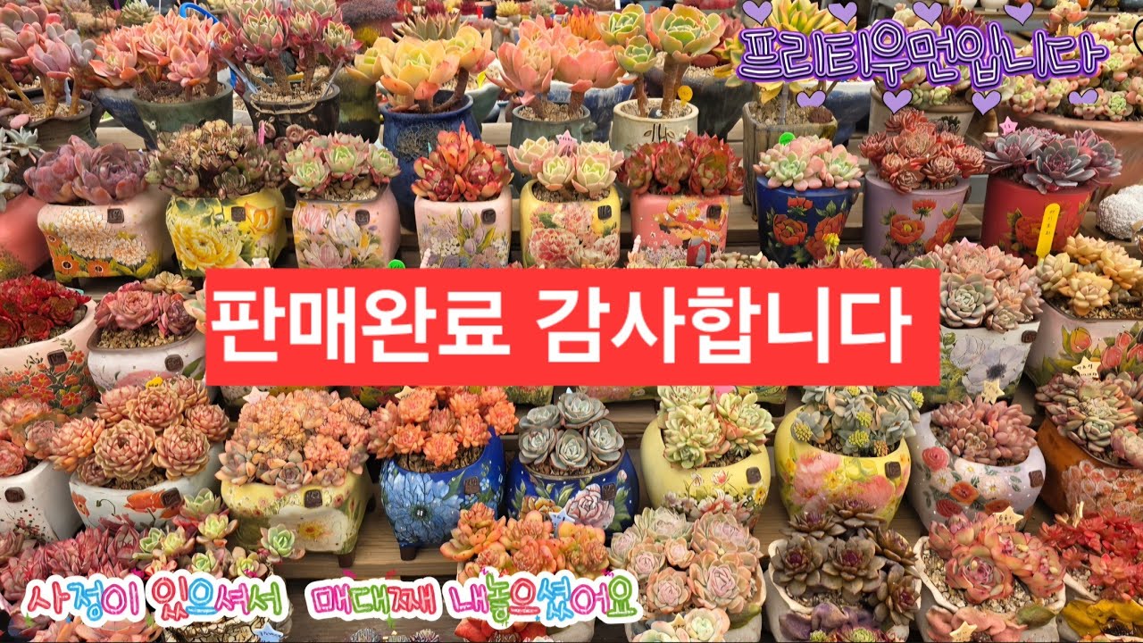 26.02.22.관심 있으시면 010.9500.9207.프리다육으로 문자주세요 