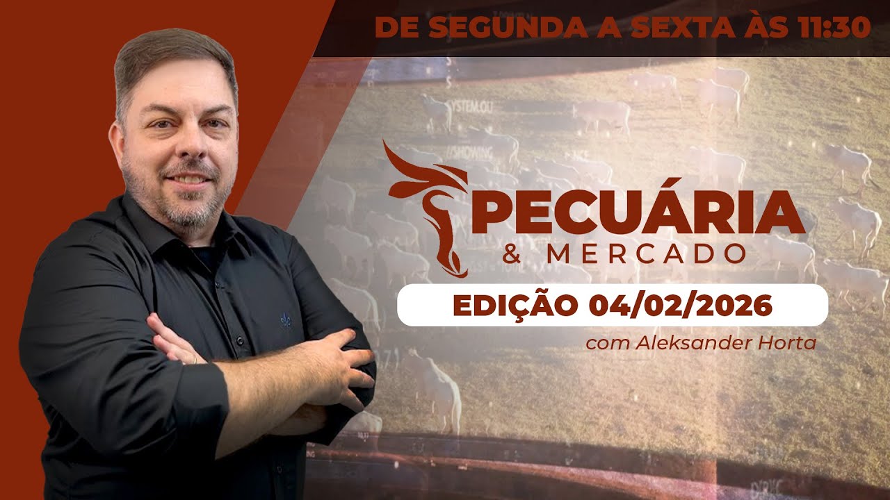 Arroba em SP pode buscar os R$340 ao longo de fevereiro; movimento de alta deve se concentrar no...