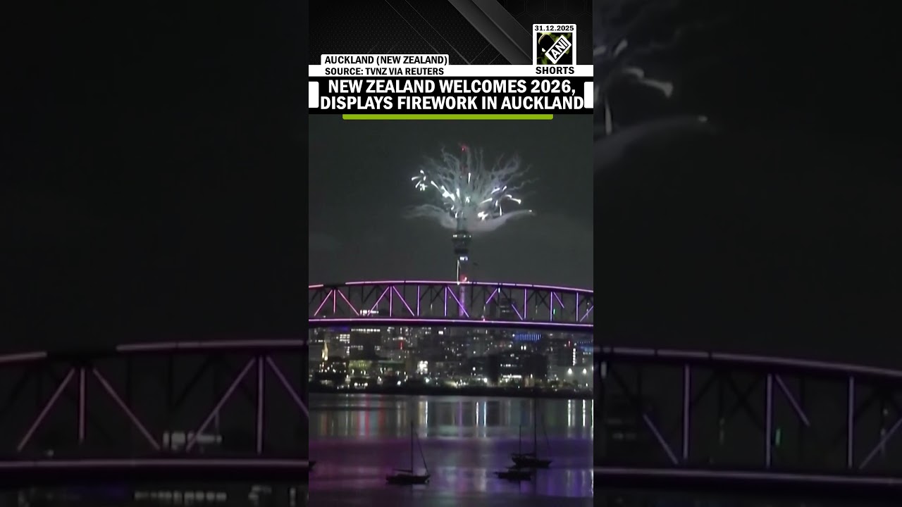 New Zealanders welcome 2026 new year with fireworks display in Auckland