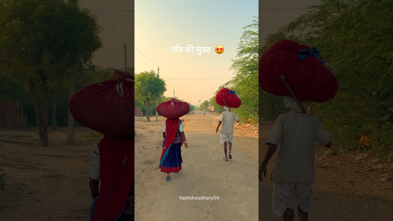 गाँव की सुबह 😍 #youtubeshorts #rajasthan #gaav #morning #vibes #barmer #shorts #views