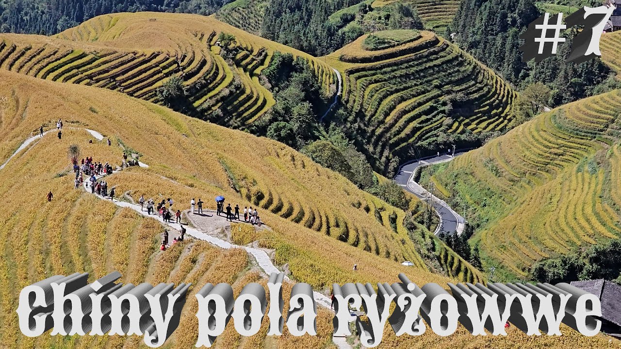 Chiny 2024 #7 Guilin 桂林 pola ryżowe i plantacja herbaty