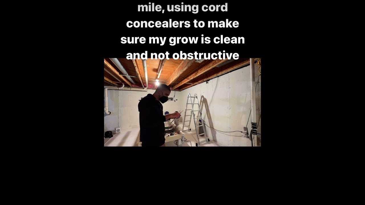 This is how you develop a professional level grow at home. #diy  #growcannabis #growweed #growyrown