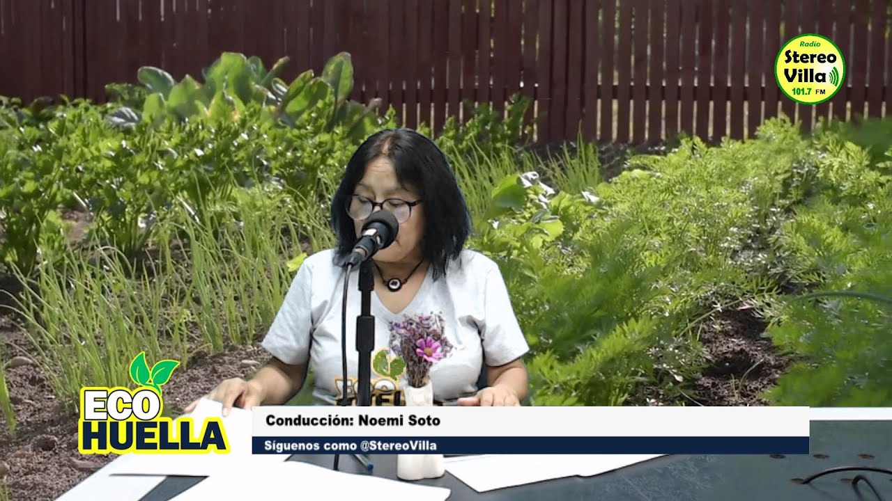 🔴  EN VIVO #Ecohuella [31-01-2026]
