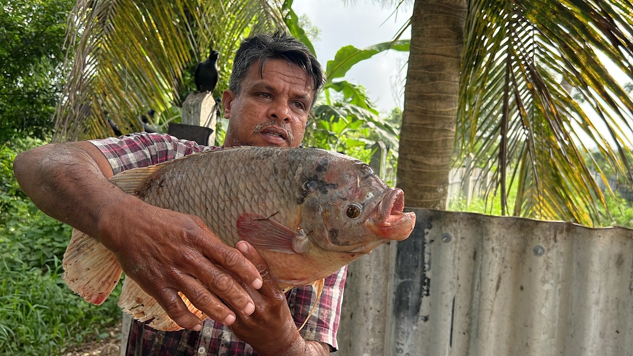 Hidden Lives! Discover the Secret World of Sri Lanka&rsquo;s Rural Fish Market & Street Village Life