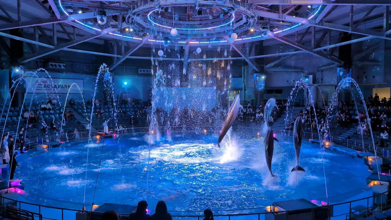 【4K】マクセル アクアパーク品川 2026冬 イルカショー 夜「SNOW AQUARIUM by NAKED」ドルフィンパフォーマンス ナイトver「BRIGHT CRYSTAL」